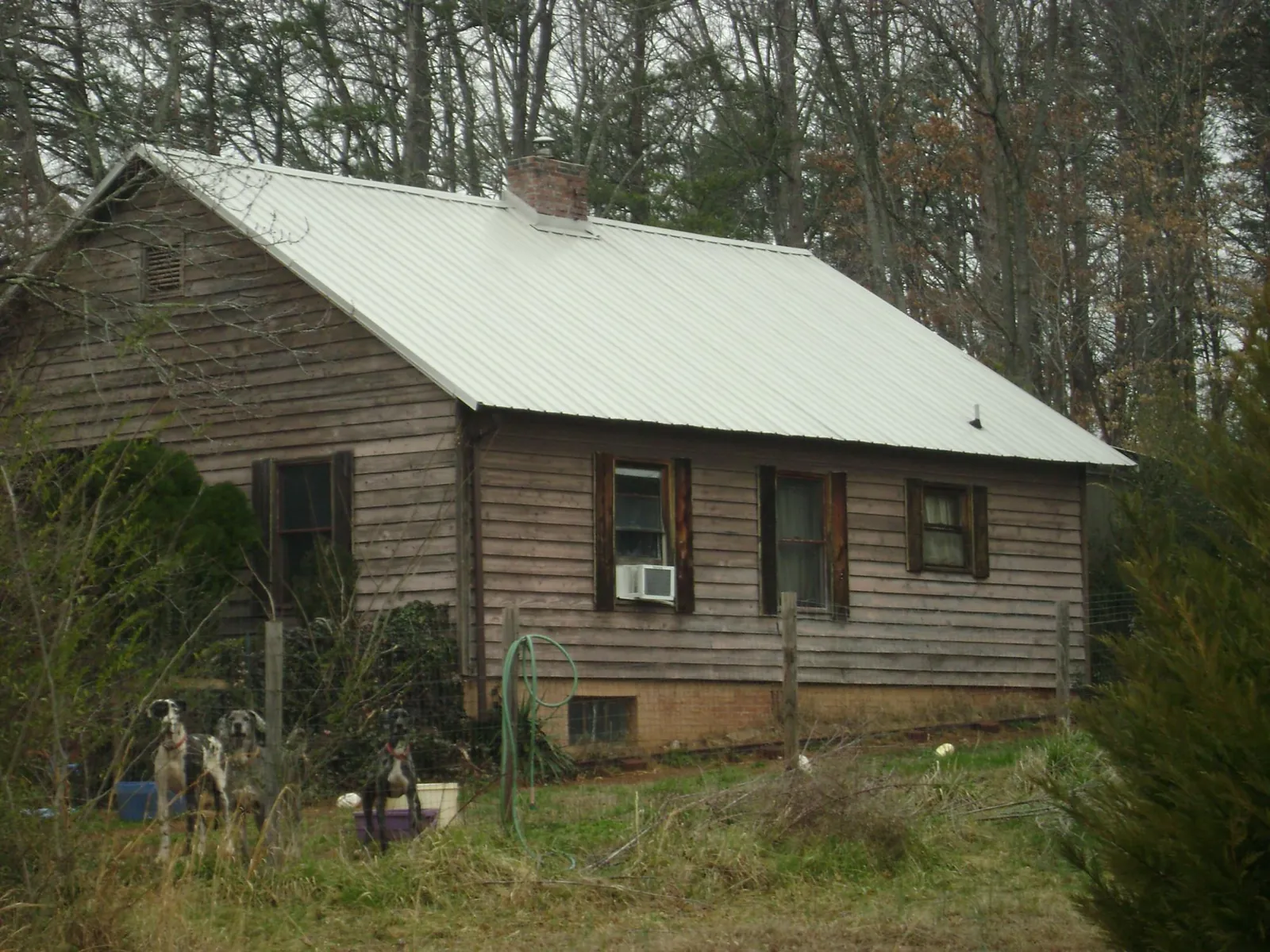 White metal roof on an old wood sided farmhouse, from a Asphalt Shingle Roof Repair job in Elk Creek